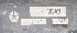 Radiator Part Number